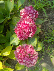 Similar image 22224264