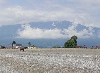 Similar image 22224265