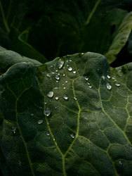 Similar image 22224631