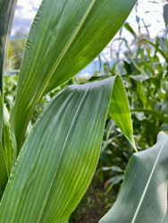 Similar image 22224632