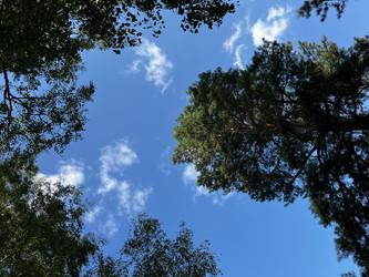 Similar image 22224633