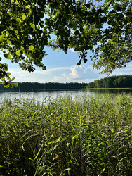 Similar image 22224634