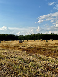 Similar image 22224636