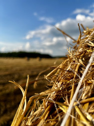 Similar image 22224637