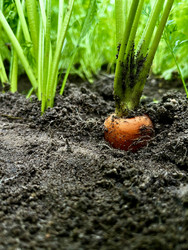 Similar image 22224638