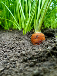 Similar image 22224639