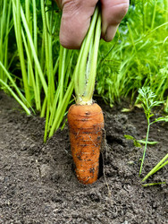 Similar image 22224640