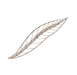 Similar image 22225654