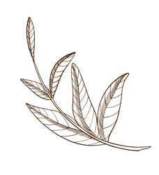 Similar image 22225656