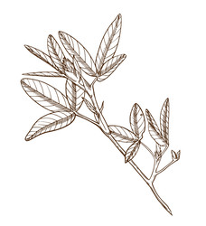 Similar image 22225659