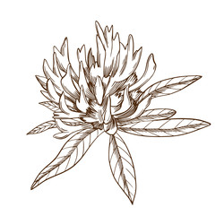 Similar image 22225660