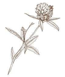 Similar image 22225662