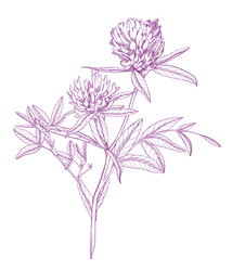 Similar image 22225765