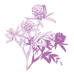 Similar image 22225766