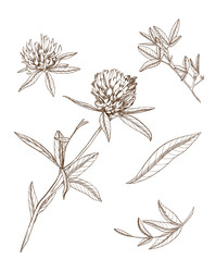 Similar image 22225772