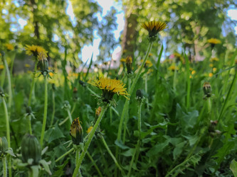 Similar image 22224581