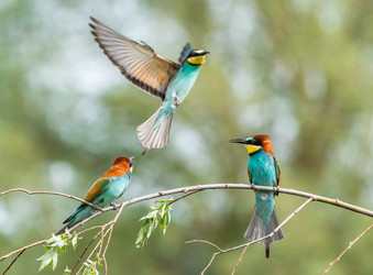 Similar image 22224719