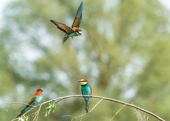 Similar image 22224720