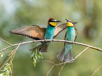 Similar image 22224721