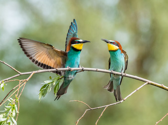 Similar image 22224722