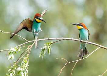 Similar image 22224724