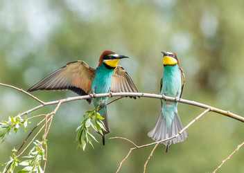 Similar image 22224725