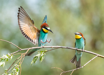 Similar image 22224726