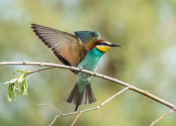 Similar image 22224727