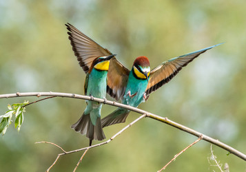 Similar image 22224728