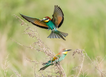 Similar image 22224730