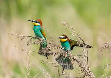 Similar image 22224731