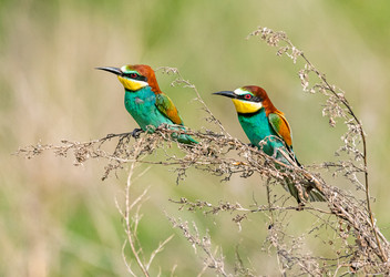 Similar image 22224732