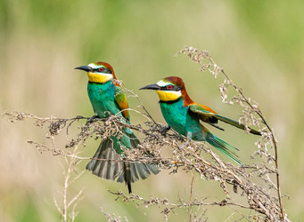 Similar image 22224733