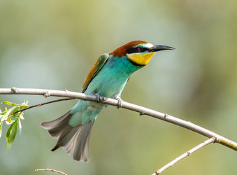 Similar image 22224734