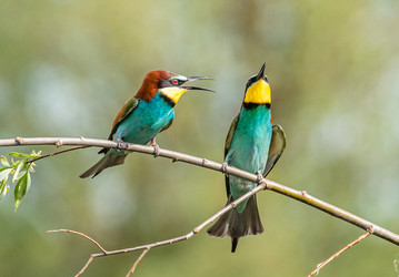 Similar image 22224737