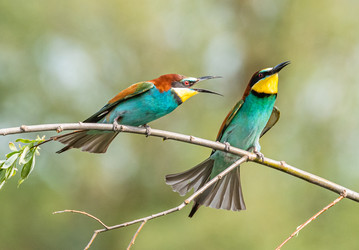 Similar image 22224738