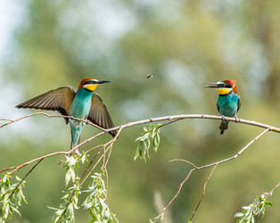 Similar image 22224739