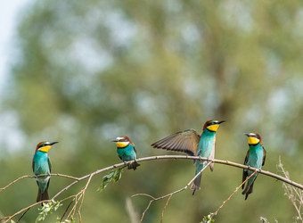 Similar image 22224740