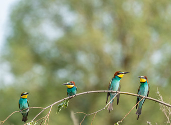 Similar image 22224741