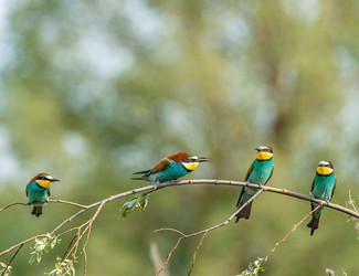 Similar image 22224742