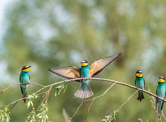 Similar image 22224743