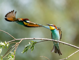 Similar image 22224744