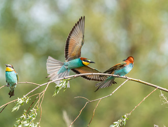 Similar image 22224745