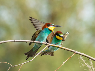 Similar image 22224746