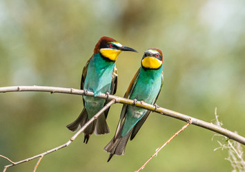 Similar image 22224747