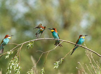 Similar image 22224750