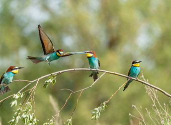 Similar image 22224751