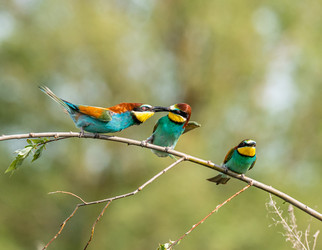 Similar image 22224752