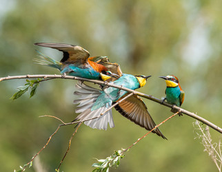 Similar image 22224754