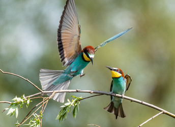 Similar image 22224755